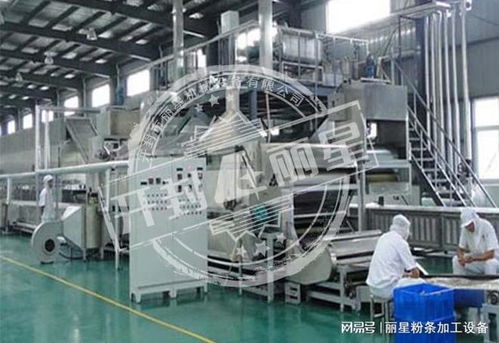 機(jī)械化加工粉條的優(yōu)勢(shì)、常見(jiàn)問(wèn)題及解決方案全解析