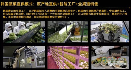 未來五年數字經濟時代下農產品物流供應鏈的新趨勢