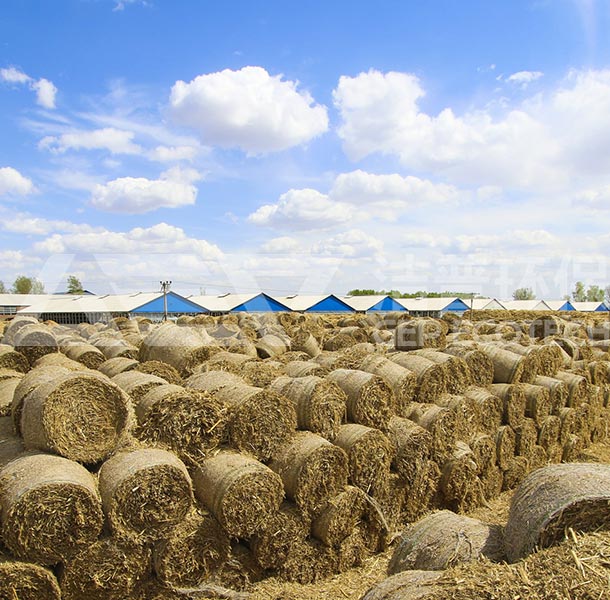 智能化秸稈粉碎機價格與農(nóng)作物秸稈破碎機廠家全解析