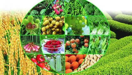 構(gòu)建農(nóng)產(chǎn)品追溯標準體系，推進農(nóng)業(yè)全程標準化——七部門聯(lián)合部署農(nóng)產(chǎn)品質(zhì)量安全新舉措