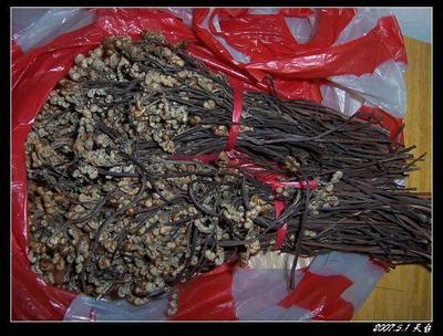 探尋優(yōu)質(zhì)蕨菜干 從廠家樣板圖到上海批發(fā)——湖北四季農(nóng)產(chǎn)品價格解析