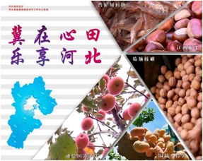 燕趙豐饒，品牌興農(nóng) 河北特色農(nóng)產(chǎn)品區(qū)域品牌建設(shè)之路