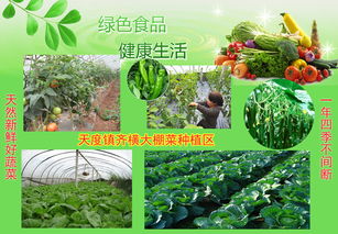 農(nóng)產(chǎn)品信息發(fā)布 連接產(chǎn)銷，賦能現(xiàn)代農(nóng)業(yè)